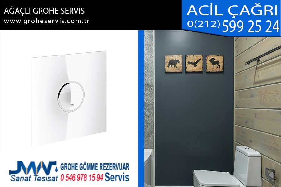 ağaçlı grohe servis